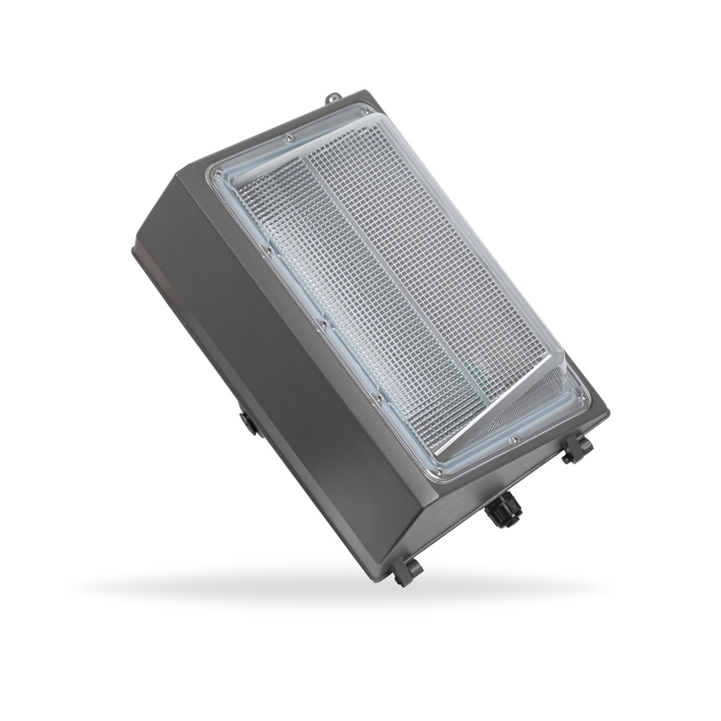 WP-4-PT2 4000K Wall Pack